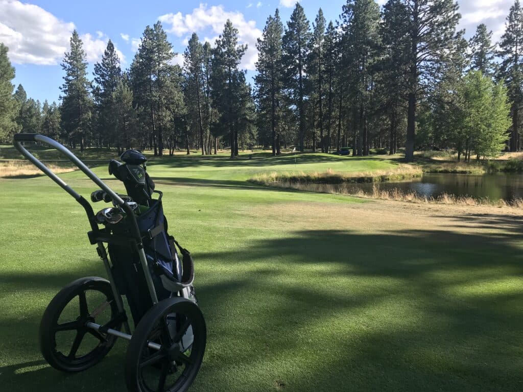 Widgi Creek Golf Club Cart