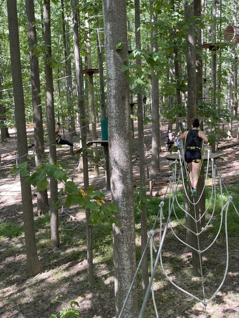 Tree Trekkers Ropes Course Challenges