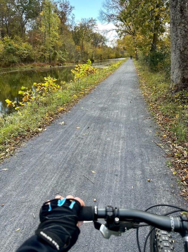 Bike Riding from Nolands Ferry