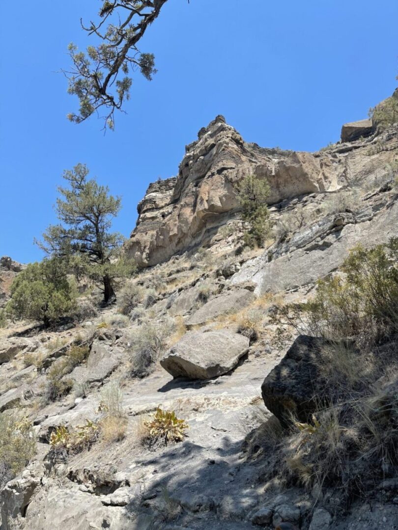 Deschutes Canyon at Steelhead Falls