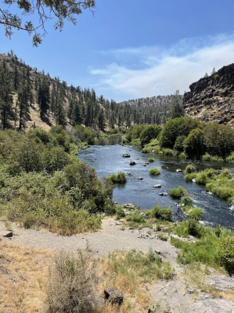 Deschutes River at Steelhead Falls