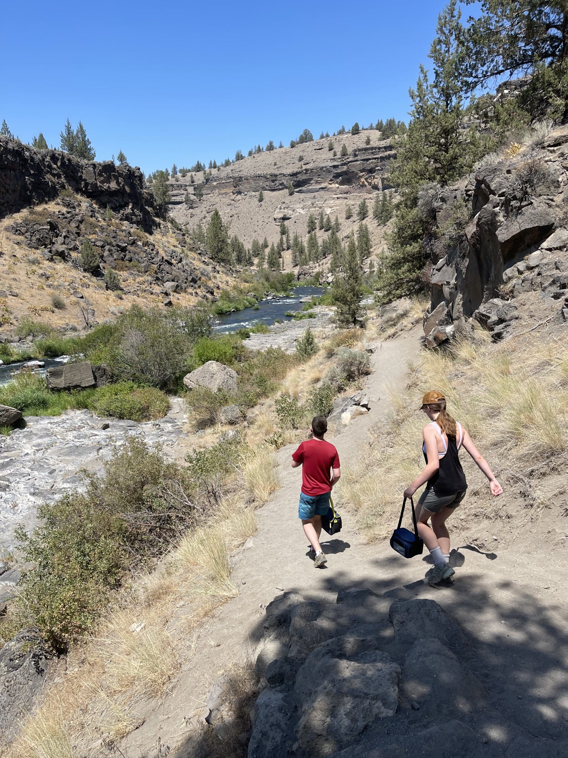 Steelhead Falls Hike