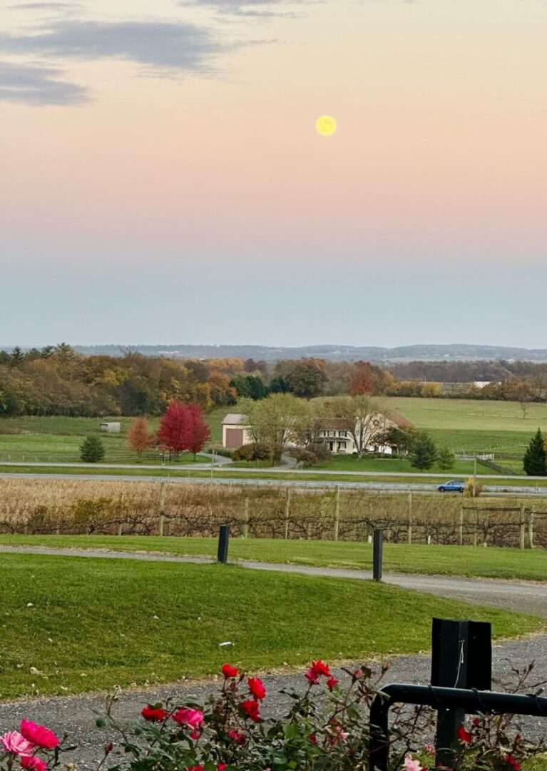 Springfield Winery at Dusk