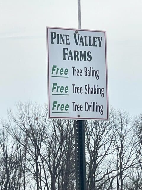 Pine Valley Tree Farm Sign