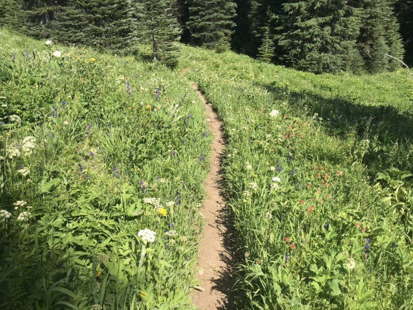 Soda Creek Trail