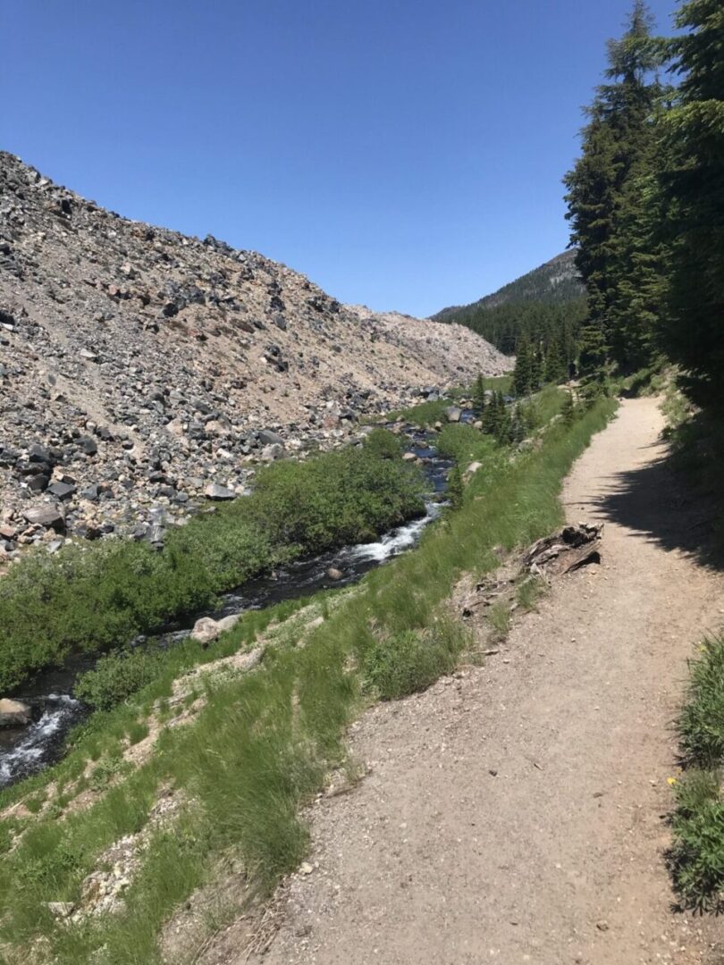 Trail Along Soda Creek