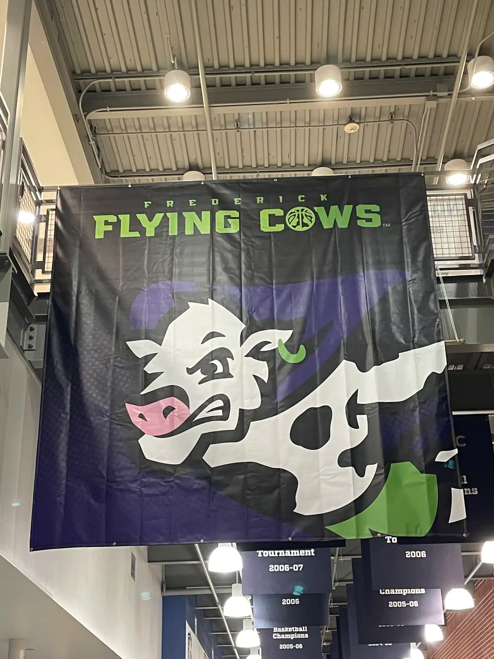 Flying cows professional basketball scaled