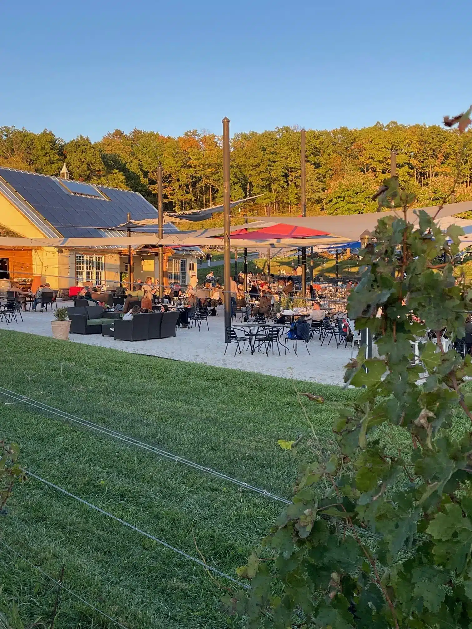 Best wineries around frederick md 02