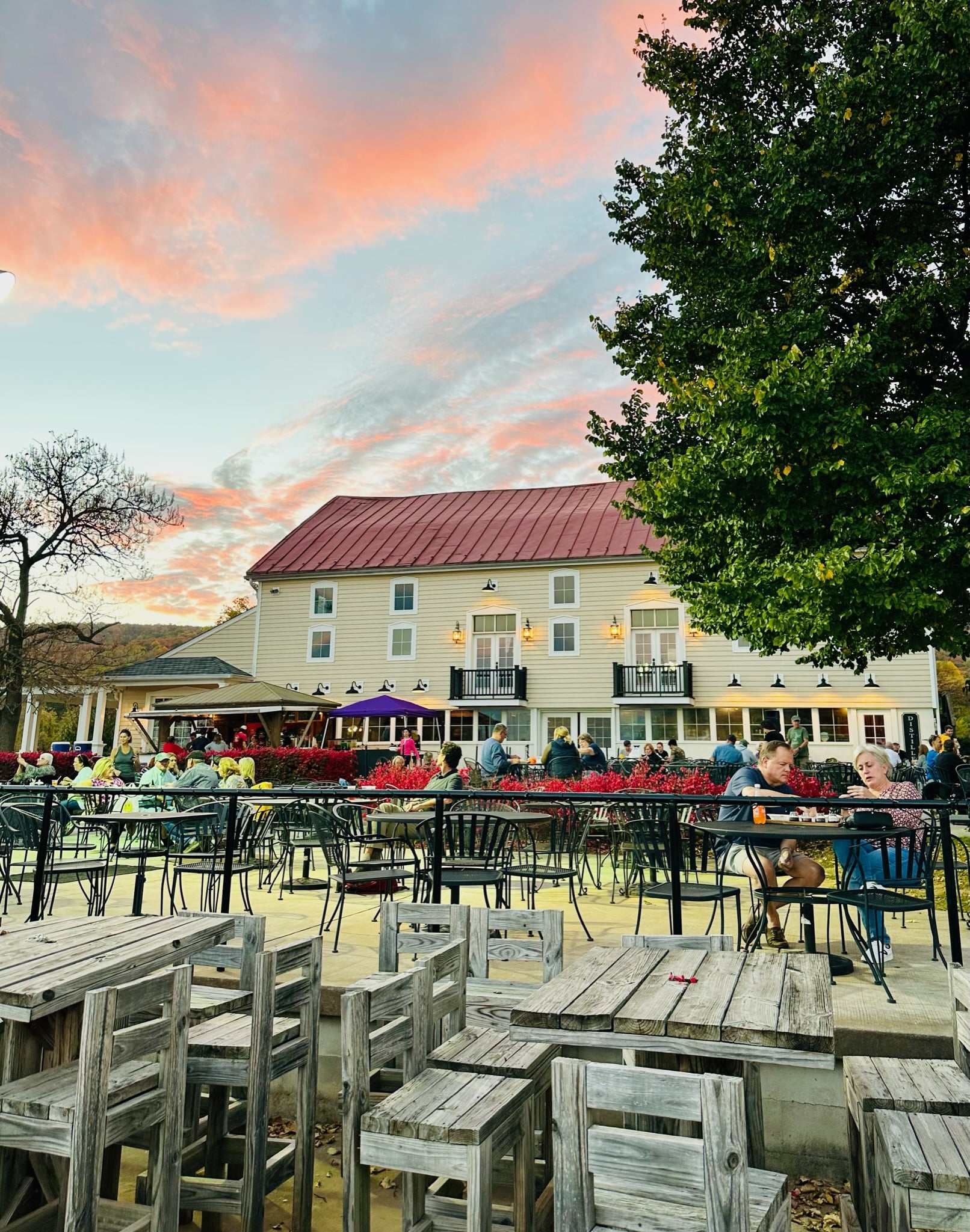 Springfield Winery Terrace