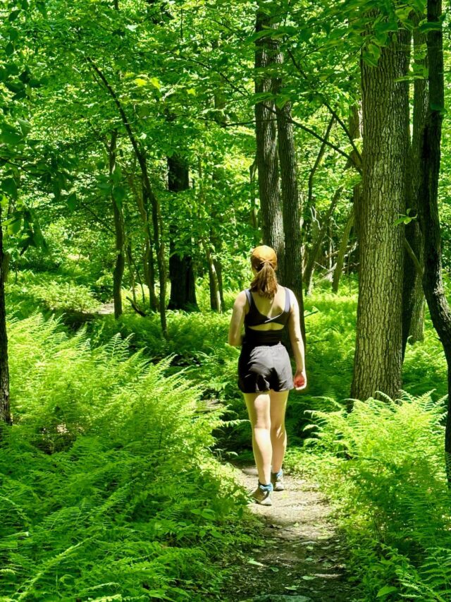 The High Rock and Raven Rock Overlook Trail on the AT in Maryland ...