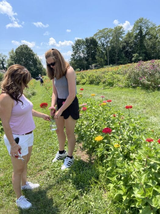 Flower picking rock hill mt airy