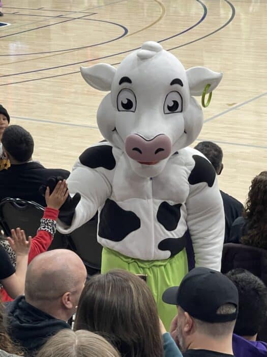 Frederick Flying Cows Mascot