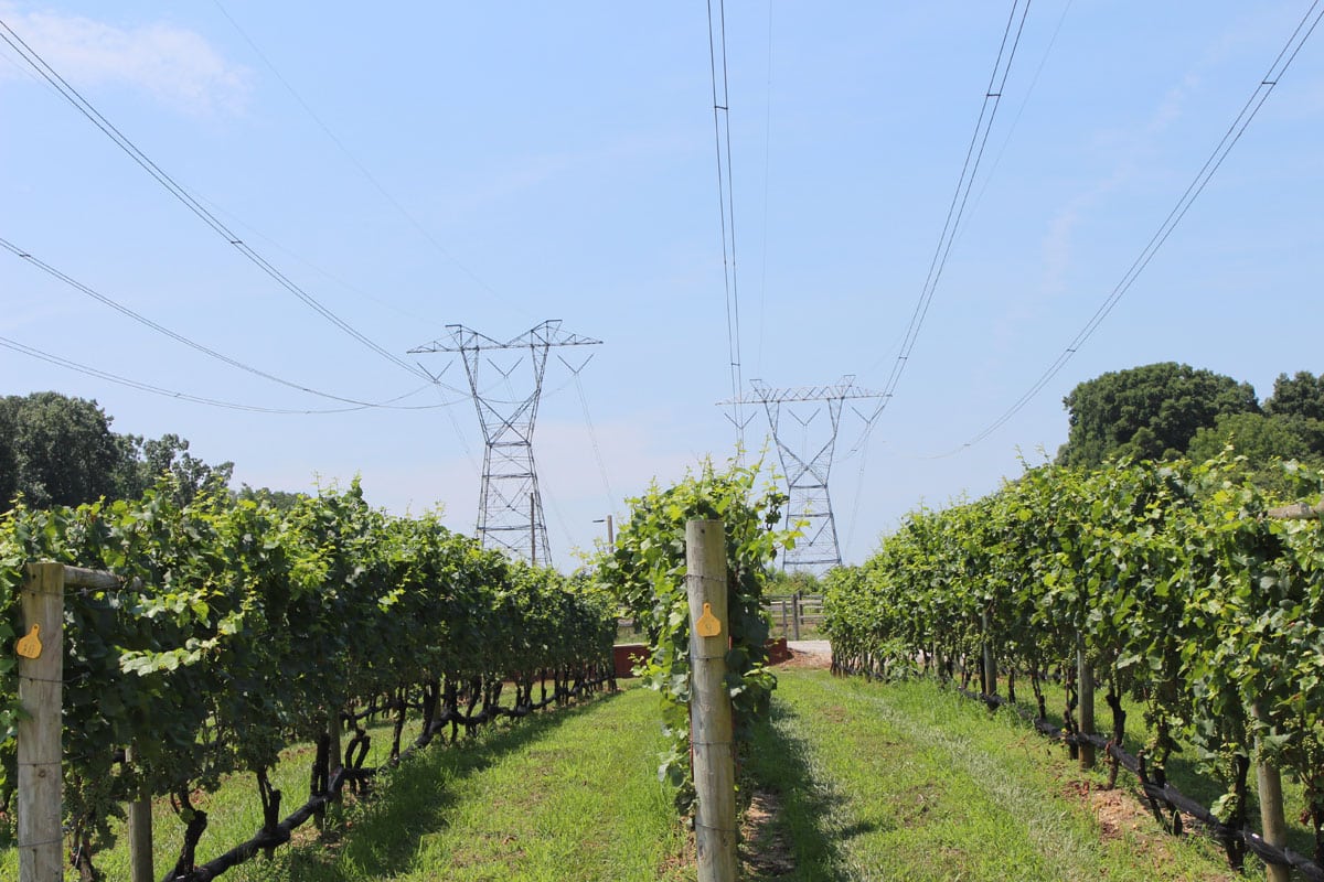 Mprp transmission lines winery