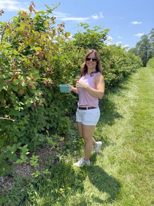 Rock hill orchard blackberry picking