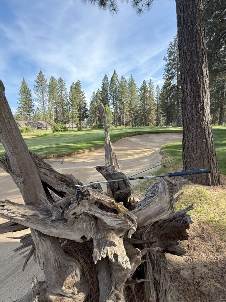 a Black Golf Club Rests on a Large Weathered Tree Stump Beside a Sand Bunker on a Golf Course in the Background Lush Green Grass Tall Pine Trees and a Blue Sky with Wispy Clouds Complete the Scenic Outdoor Setting a Black Golf Club Rests on a Large Weathered Tree Stump Beside a Sand Bunker on a Golf Course in the Background Lush Green Grass Tall Pine Trees and a Blue Sky with Wispy Clouds Complete the Scenic Outdoor Setting