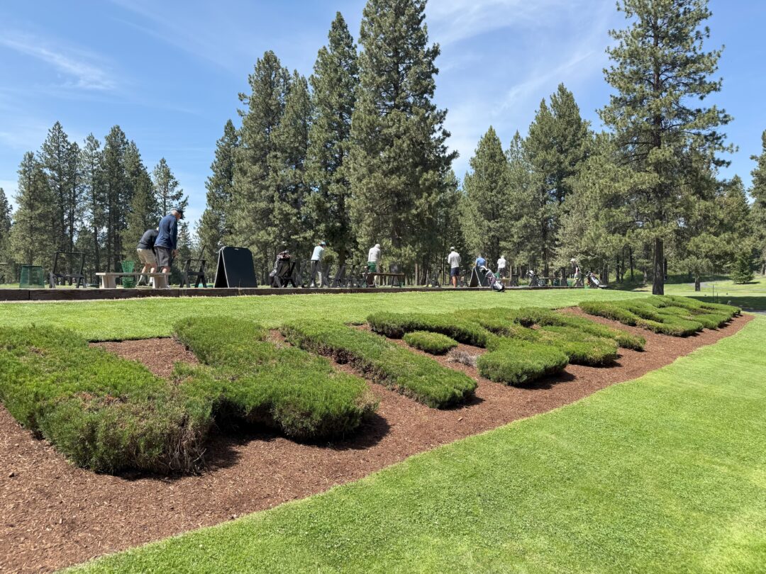 a Row of Golfers Practices at a Driving Range Bordered by Tall Pine Trees Under a Blue Sky the Foreground Features Manicured Bushes Spelling out Pga in Green Letters on a Brown Mulch Bed Surrounded by Neatly Trimmed Grass a Row of Golfers Practices at a Driving Range Bordered by Tall Pine Trees Under a Blue Sky the Foreground Features Manicured Bushes Spelling out Pga in Green Letters on a Brown Mulch Bed Surrounded by Neatly Trimmed Grass