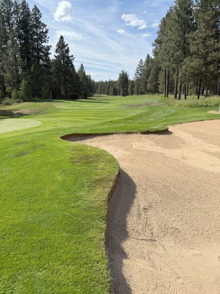 a Sand Bunker Borders a Neatly Mowed Golf Fairway Surrounded by Tall Pine Trees Under a Partly Cloudy Blue Sky the Green Grass Contrasts with the Sandy Bunker in the Foreground and the Scene is Calm and Peaceful a Sand Bunker Borders a Neatly Mowed Golf Fairway Surrounded by Tall Pine Trees Under a Partly Cloudy Blue Sky the Green Grass Contrasts with the Sandy Bunker in the Foreground and the Scene is Calm and Peaceful