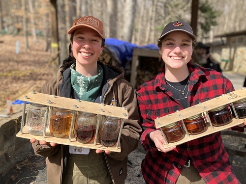 Maple Syrup Festival Cunningham Falls