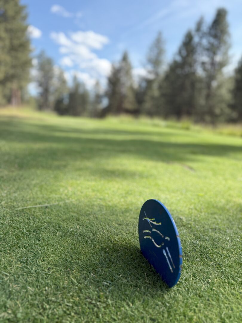 a Blue Disc with a White Abstract Design Stands Upright on a Grassy Area Likely a Golf Course or Park Tall Pine Trees and a Blue Sky with Scattered Clouds Are in the Blurred Background Creating a Serene Outdoor Scene a Blue Disc with a White Abstract Design Stands Upright on a Grassy Area Likely a Golf Course or Park Tall Pine Trees and a Blue Sky with Scattered Clouds Are in the Blurred Background Creating a Serene Outdoor Scene