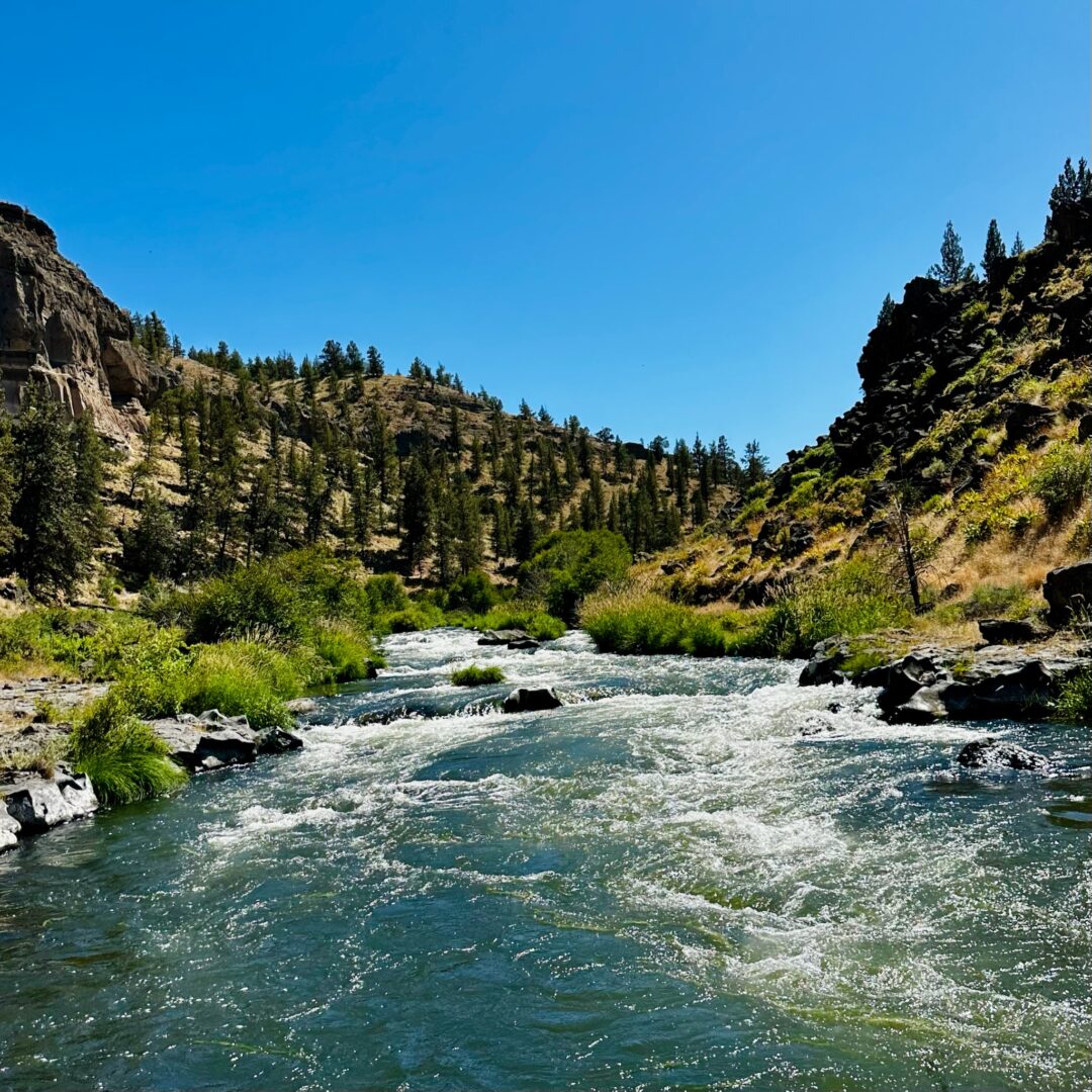 A clear river flows swiftly through a rocky landscape lined with green grasses and bushes near Steelhead Falls. Steep hill slopes, dotted with pine trees, rise on both sides under a bright blue sky on a sunny day.