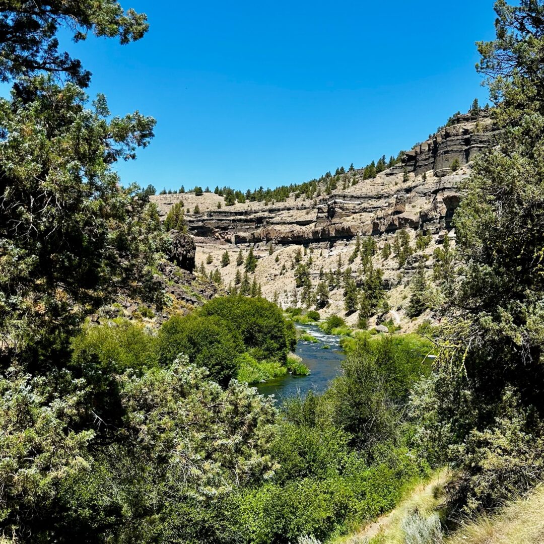 A clear river winds through lush green trees in a valley, framed by rocky, layered cliffs near Steelhead Falls. Evergreen trees line the slopes beneath a bright blue, cloudless sky, creating a vibrant and sunlit landscape.