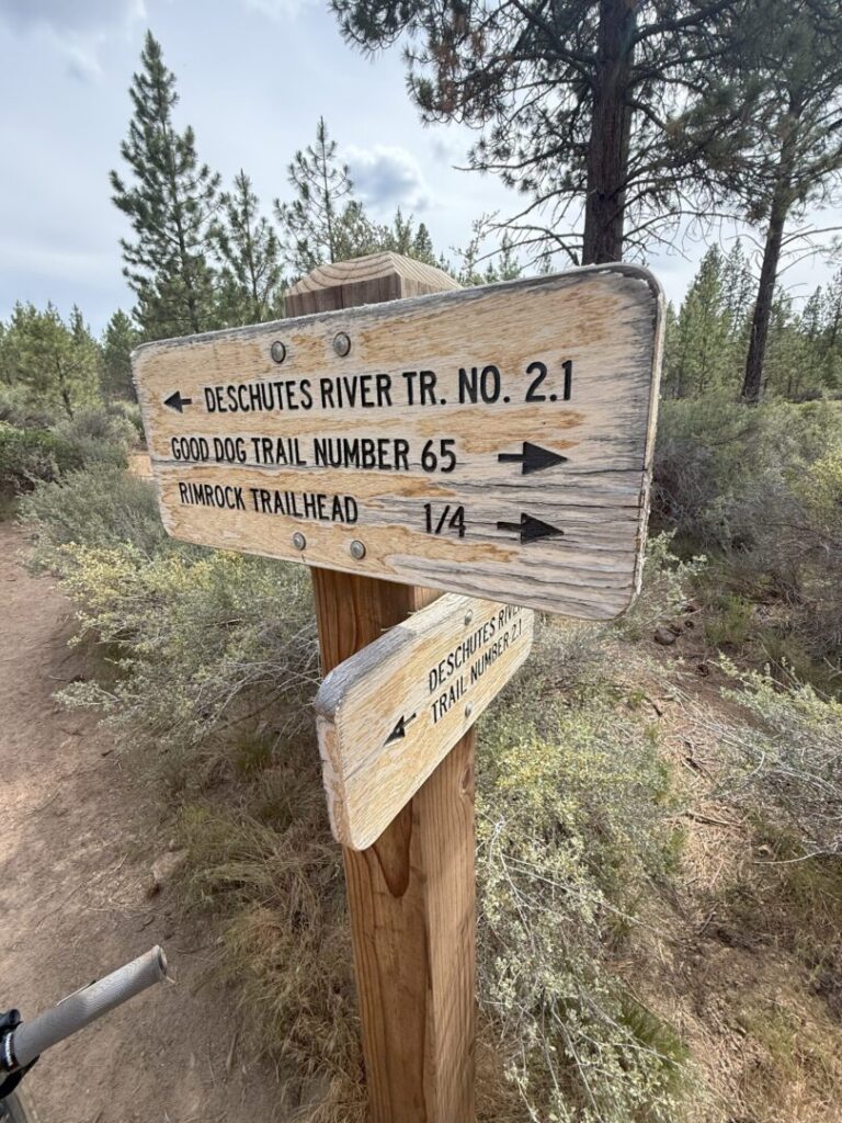 A wooden trail sign in a forest points left to Deschutes River Trail No. 2.1 and right to Rimrock Trail and Good Dog Trail Number 65. Pine trees and shrubs line the dirt path beneath a cloudy sky.