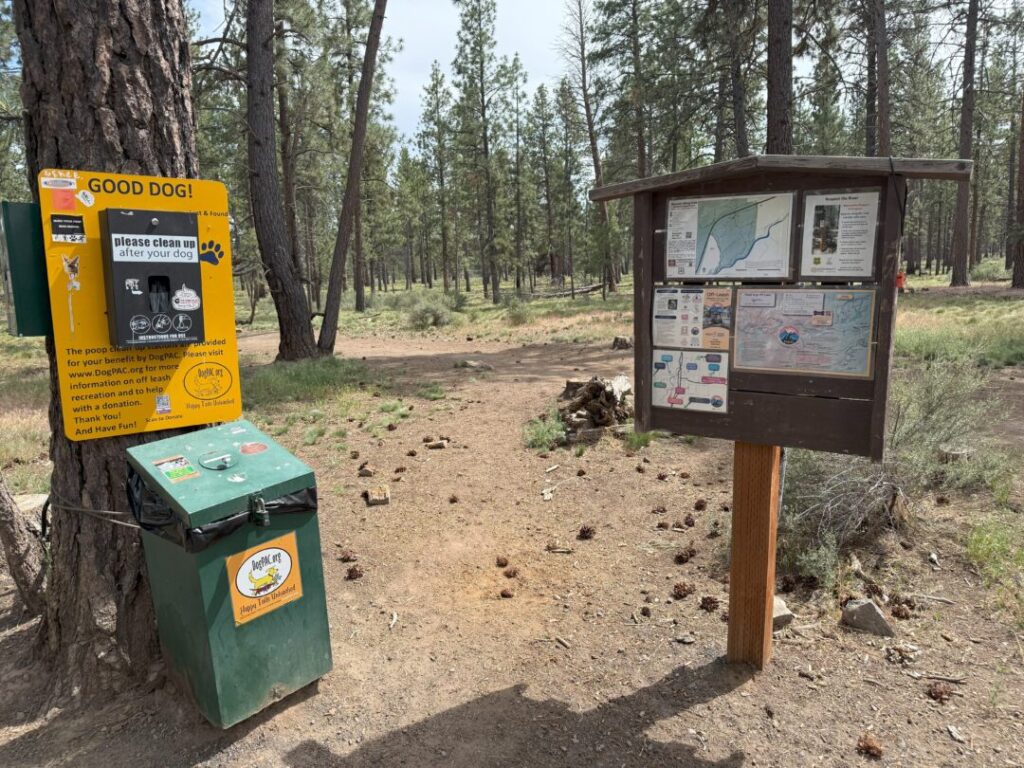 At the Rimrock Trail trailhead, a wooden information kiosk displays maps and notices. To the left, a yellow Good Dog! station offers waste bags and a green bin. Pine trees frame the dirt path beneath a bright sky.