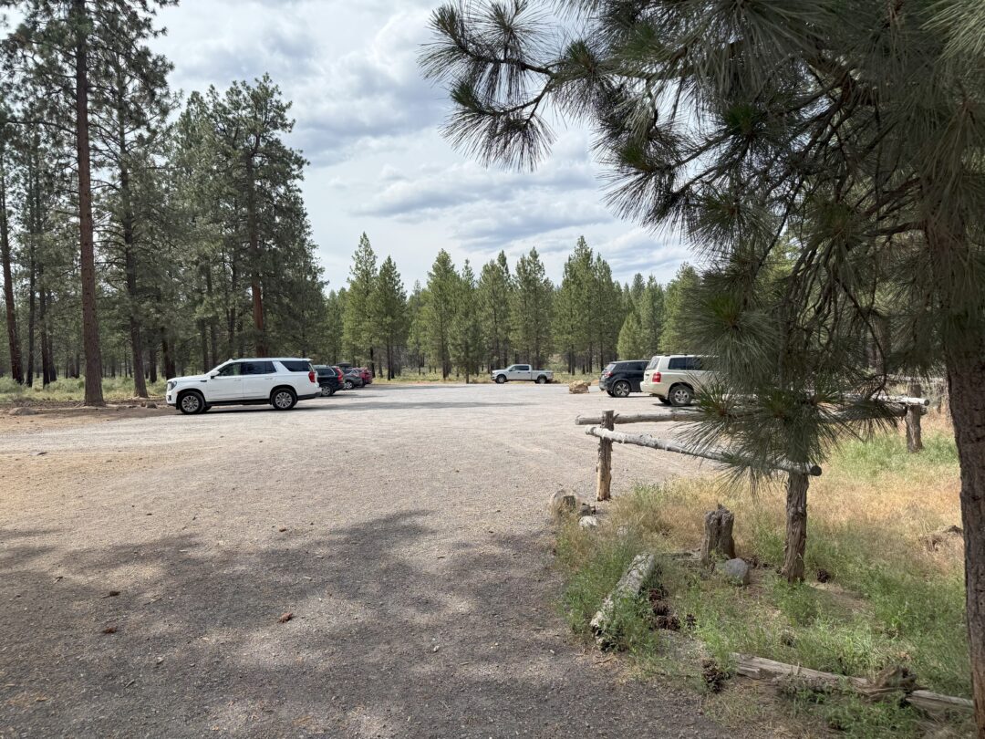 A gravel parking area along Rimrock Trail sits quietly in a forest, surrounded by tall pine trees. A rustic wooden fence borders the right side, while a cloudy sky looms above, enhancing the remote and natural greenery throughout.