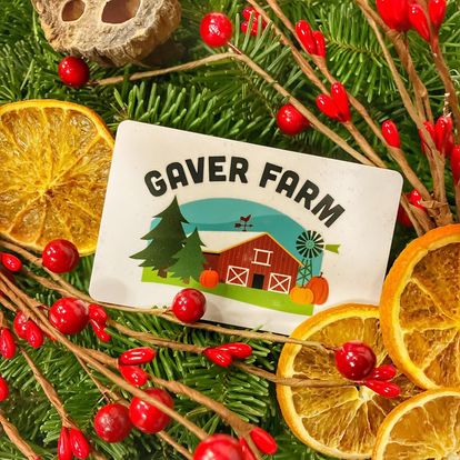 Christmas market gaver farm a Gaver Farm Card with a Red Barn and Trees Illustration Rests on Green Pine Needles Surrounded by Dried Orange Slices Red Berries and a Seed Pod Creating a Festive Rustic Gaver Farm Holiday Arrangement