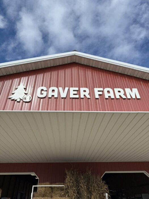 A red barn with a white roof is seen from below at Gaver Farm. “Gaver Farm” is written in large white letters on the front near a pine tree logo. The sky is partly cloudy, and corn stalks and hay bales are stacked at the entrance.
