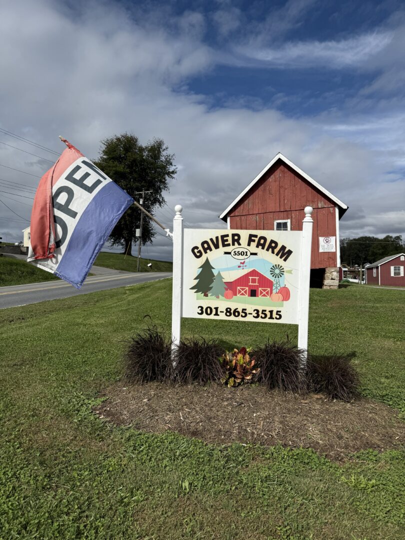 Gaver farm md a White Sign with a Red Barn Illustration Reads gaver Farm 301 865 3515 an open Flag Flies Nearby the Gaver Farm Sign Stands on Grass Beside a Rural Road with a Red Barn and Green Fields Under a Partly Cloudy Sky in the Background