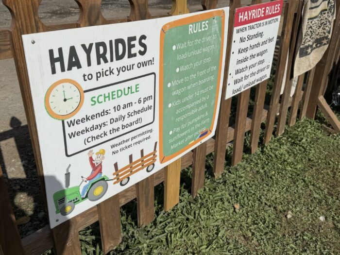 A wooden fence at Gaver Farm displays three signs about hayrides. The largest details Gaver Farm hayride schedules with a drawing of a tractor pulling hay bales. The others list rider instructions and safety precautions, with grass below the signs.