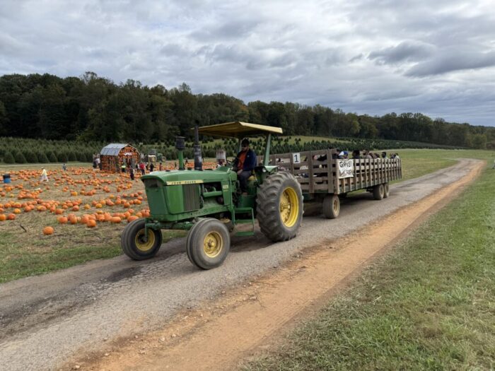 A green tractor pulls a wagon full of people along a dirt road beside the pumpkin patch at Gaver Farm. Scattered pumpkins and a small wooden structure are visible in the background, with trees and a cloudy sky overhead.