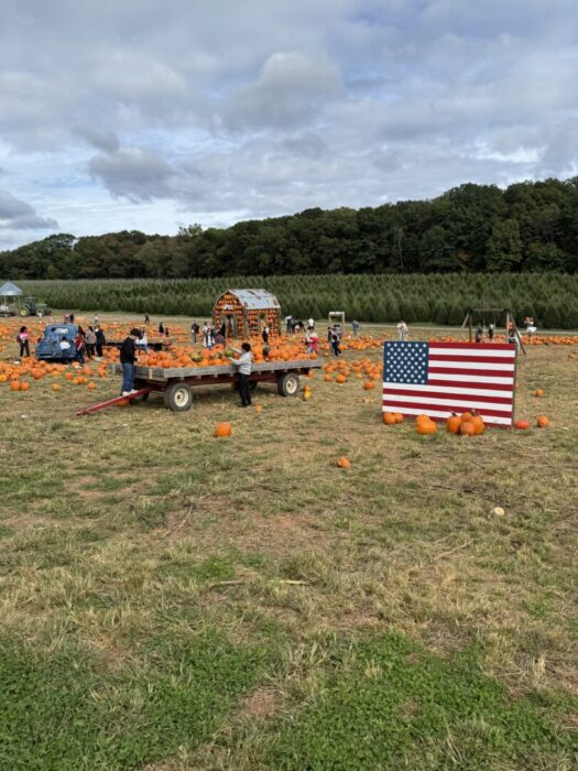 A pumpkin patch scene at Gaver Farm with people picking pumpkins. An American flag display stands near scattered pumpkins in the foreground. A wagon is loaded with pumpkins, and a wooden archway, trees, and a cloudy sky complete the scene.