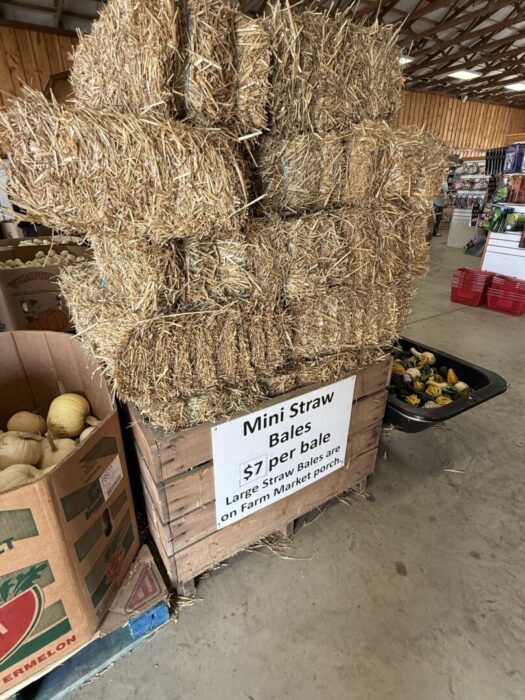 A stack of small straw bales sits on a wooden crate at Gaver Farm, with a sign reading, “Mini Straw Bales $7 per bale. Large Straw Bales are on Farm Market porch.” Nearby are boxes of produce and a bin of gourds in the spacious market.