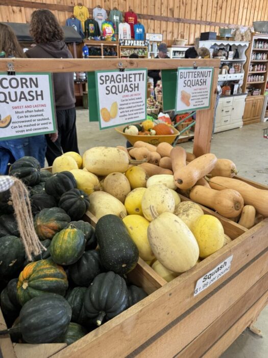 At Gaver Farm, wooden bins display three types of squash—acorn (dark green), spaghetti (yellow), and butternut (tan). Signs label each squash, while shelves with goods and people browsing fill the background.