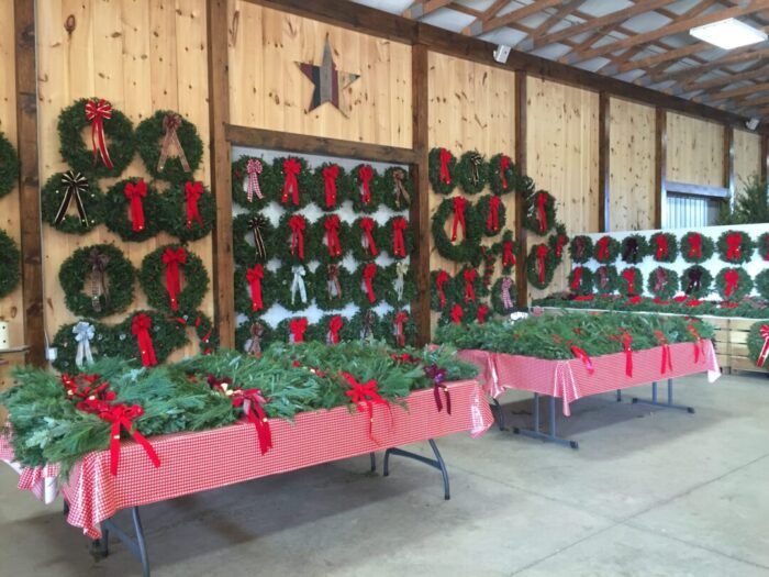 A wooden barn interior at Gaver Farm displays many green wreaths with red bows on the walls. Red-checkered tables hold fresh evergreen branches, creating a festive holiday atmosphere beneath exposed beams and a rustic metal star.