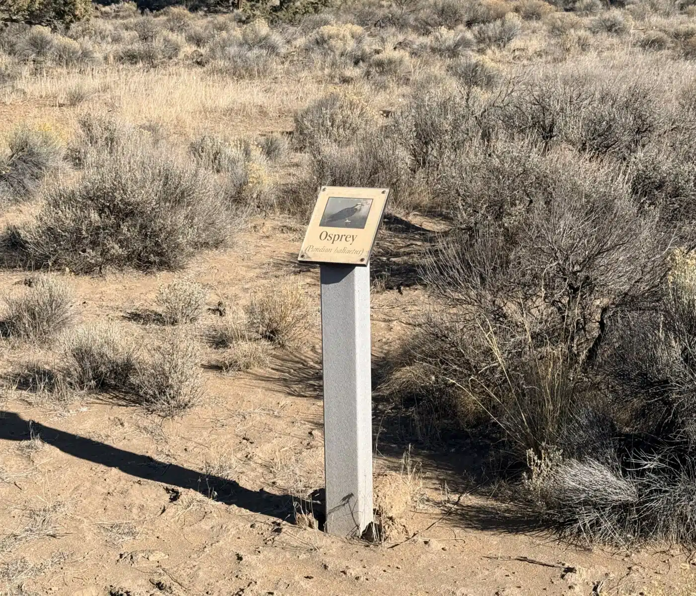 Small Information Sign Osprey on a Concrete Post in Dry Desert Scrubland Distant Hills in the Background