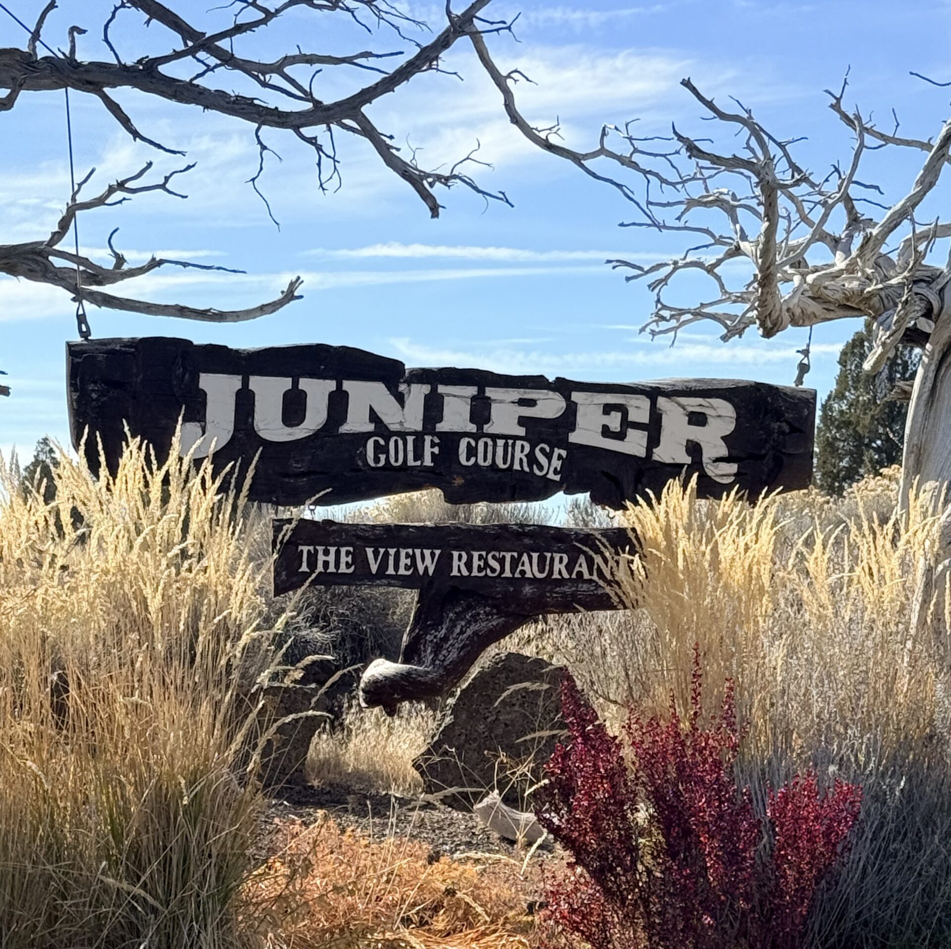 Sign Reads Juniper Golf Course with a Smaller Sign the View Restaurant in a Dry Desert Landscape with Tall Grasses and Leafless Trees Under a Blue Sky