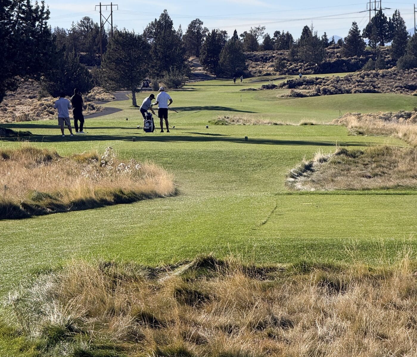 Golfers on a Sunny Golf Fairway with Trees and Scrubby Landscape Along the Edges