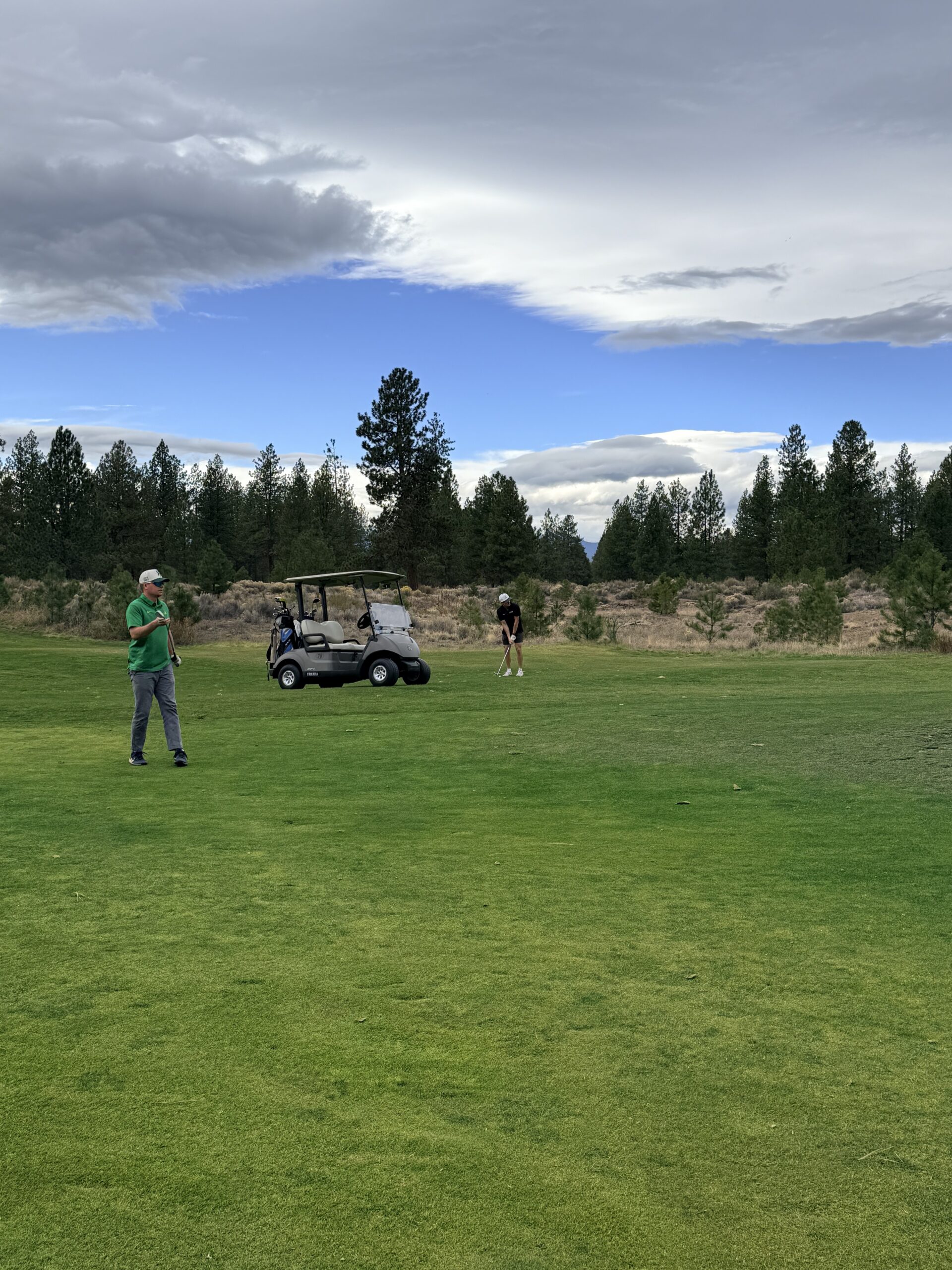 Two Golfers on a Green Fairway with a Parked Golf Cart and Dense Trees in the Background Under a Cloudy Sky