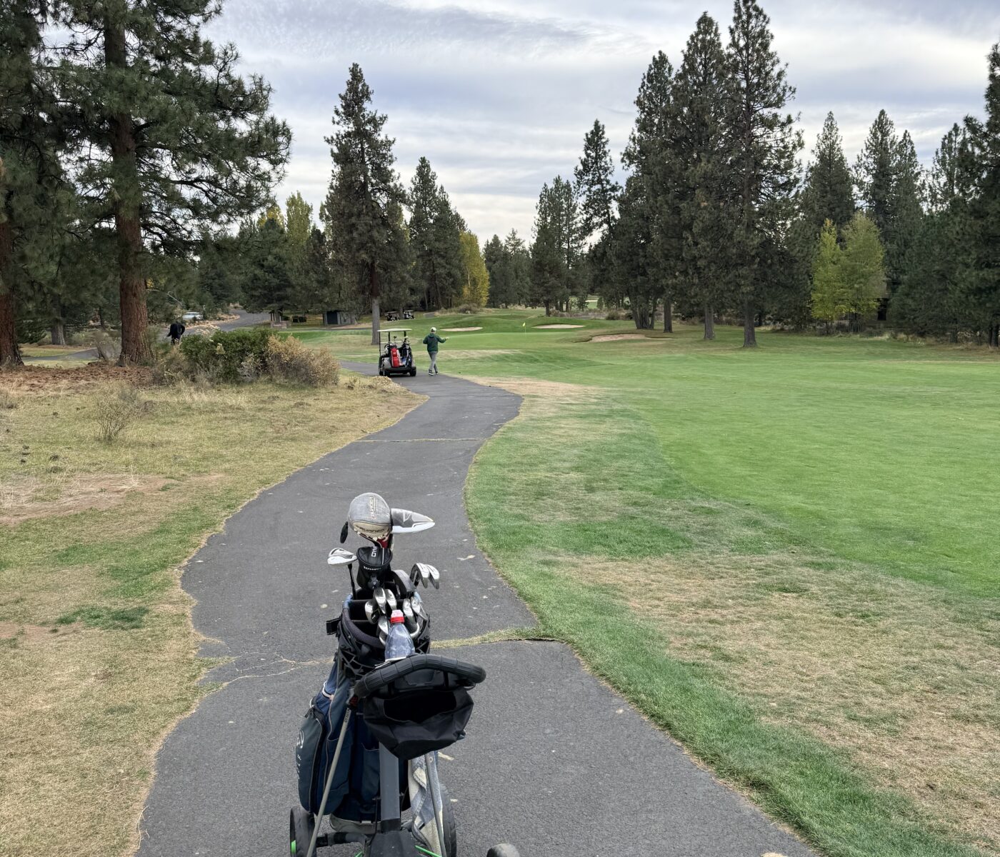 Three Wheeled Golf Cart with Bags on a Paved Path Through a Pine Filled Golf Course Deep Green Fairway on the Right Trees Lining Both Sides