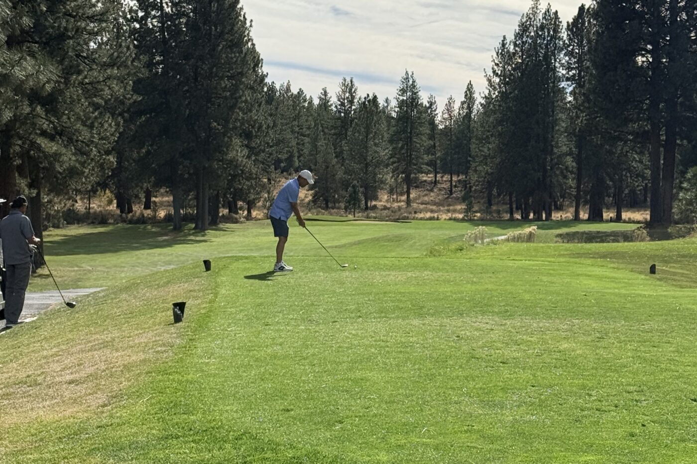 a Man in a Light Blue Shirt and White Cap Takes a Golf Swing on a Sunny Course with Tall Evergreen Trees Along the Fairway