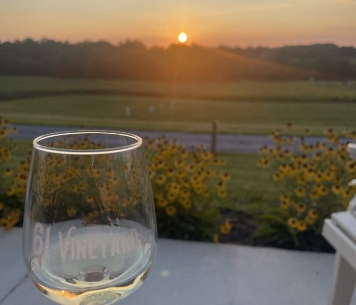 61-vineyards-damascus-maryland A hand holds a glass of white wine with 6 Vineyard etched on it. Yellow flowers and green fields in New Market, MD, stretch beyond a patio, while the sun sets behind low hills and scattered clouds, creating a warm, tranquil atmosphere.