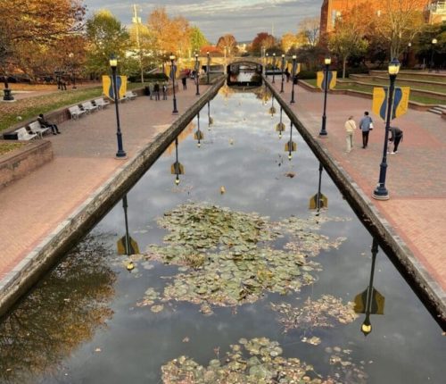 A narrow canal lined with lily pads reflects a cloudy sky in Frederick, Maryland. Brick walkways and lampposts border both sides, while autumn trees and a few people strolling create a calm, scenic urban park atmosphere.