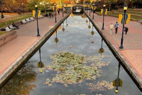 View of a canal lined with lily pads and brick walkways in Frederick, MD. People stroll under autumn trees and yellow banners. Boutique hotels Frederick MD are nearby, with buildings in the background beneath a partly cloudy sky.