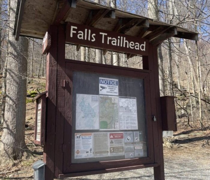 A wooden trailhead sign labeled “Falls Trailhead” stands in a forest with bare trees—one of the best hikes around Frederick MD. The sign displays maps, notices, and safety info inside a glass case as sunlight highlights the gravel-covered ground.