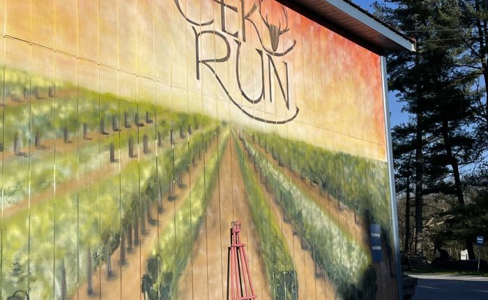 Elk Run Vineyards near Frederick