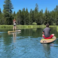 Two people paddleboarding on a calm lake with a dense pine forest and blue sky in the background, one standing and paddling while the other sits in the foreground.