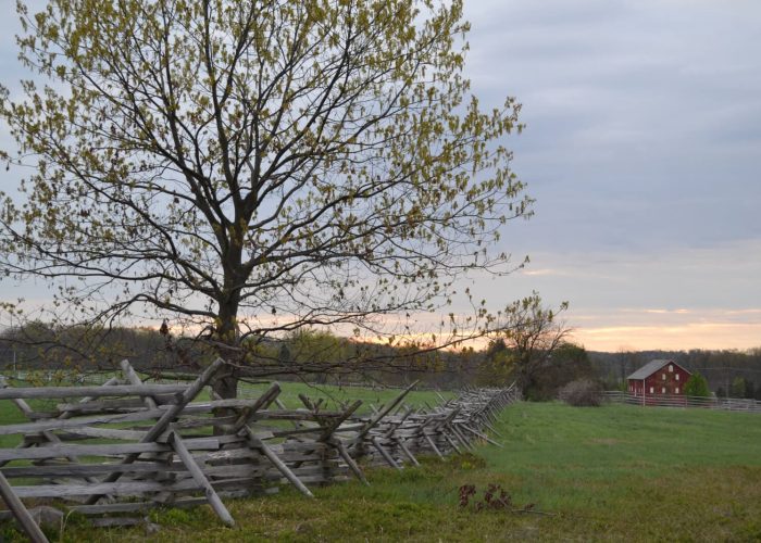 Rural scene at sunset with a large budding tree beside a staggered wooden fence, green field, and a red barn in the distance under a cloudy sky.